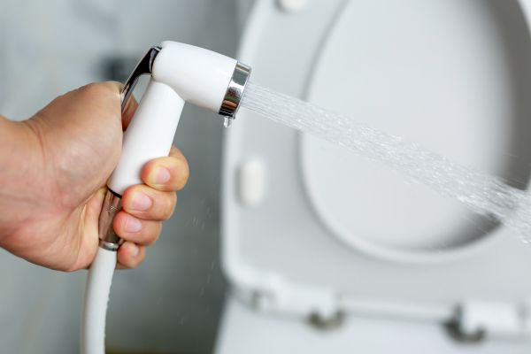 Professional Bidet Installation